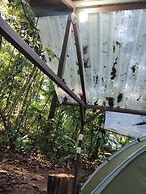 Cool Waters Jungle Camping