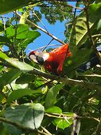 Cool Waters Jungle Camping