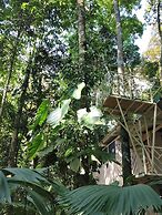 Cool Waters Jungle Camping