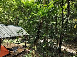 Cool Waters Jungle Camping
