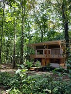 Cool Waters Jungle Camping