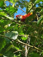 Cool Waters Jungle Camping