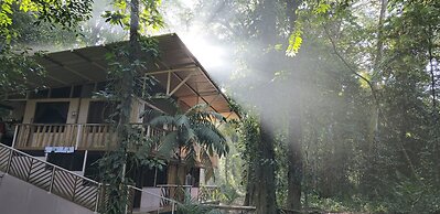 Cool Waters Jungle Camping