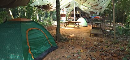 Cool Waters Jungle Camping