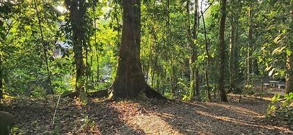Cool Waters Jungle Camping