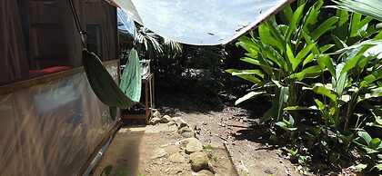 Cool Waters Jungle Camping