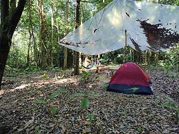 Cool Waters Jungle Camping