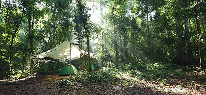 Cool Waters Jungle Camping