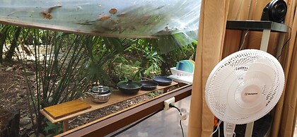 Cool Waters Jungle Camping