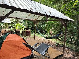 Cool Waters Jungle Camping