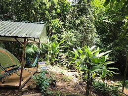 Cool Waters Jungle Camping