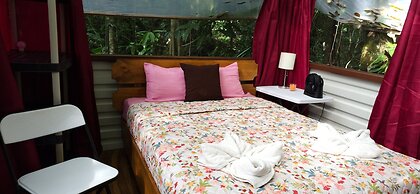 Cool Waters Jungle Camping