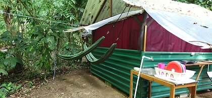 Cool Waters Jungle Camping