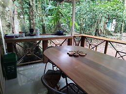 Cool Waters Jungle Camping