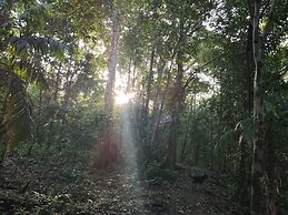 Cool Waters Jungle Camping