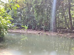 Cool Waters Jungle Camping