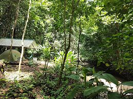 Cool Waters Jungle Camping