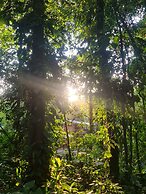 Cool Waters Jungle Camping