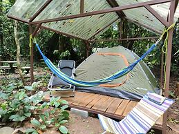 Cool Waters Jungle Camping