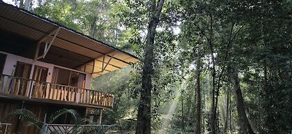 Cool Waters Jungle Camping