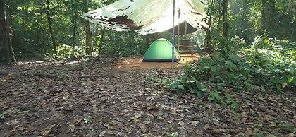 Cool Waters Jungle Camping