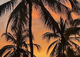 MuchoSur Santa Marta