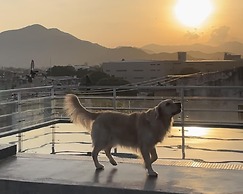 MuchoSur Santa Marta