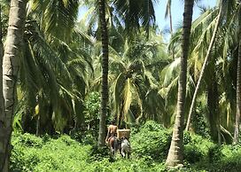 MuchoSur Santa Marta