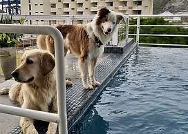 MuchoSur Santa Marta