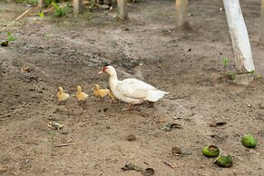 Chácara Shallon -São Miguel dos Milagres