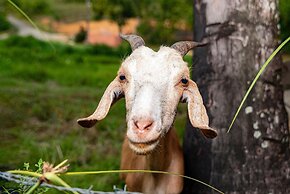 Chácara Shallon -São Miguel dos Milagres