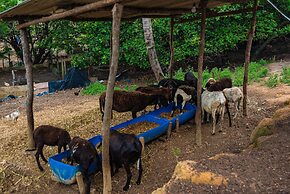 Chácara Shallon -São Miguel dos Milagres