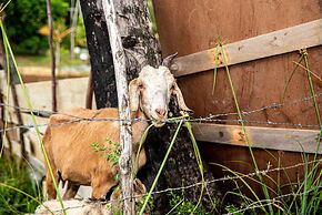 Chácara Shallon -São Miguel dos Milagres