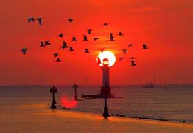 Cordis Shanghai Seaworld