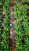 JRN Island Beach Stay Resort