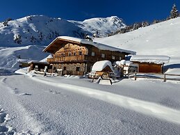 Alpine Pasture in the Zillertal Mountains