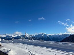 Alpine Pasture in the Zillertal Mountains
