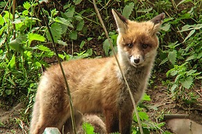 Blockhaus, Hasselfelde