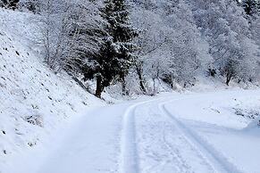 Blockhaus, Hasselfelde