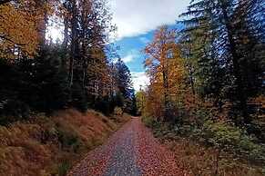 Holiday Home in Neureichenau