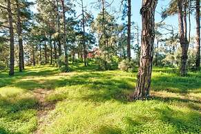 Villa Mansion Bandama, Santa Brigida