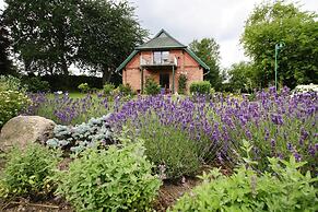 Holiday Home Seeadler am Duemmer See in Duemmer