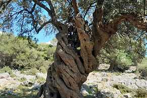 Apartments Adelheid in Biograd, Close to the Beach