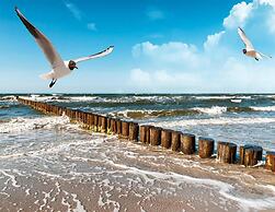 Holiday Home, Rusinowo