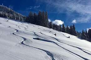 Holiday Flat Daniela, Hippach im Zillertal