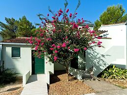 Apartments in Zaton With Pool