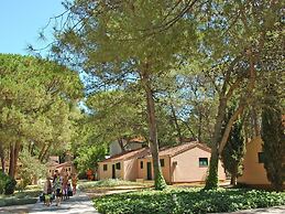 Apartments in Zaton With Pool