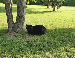 Doppelhaushaelfte, Plau am See