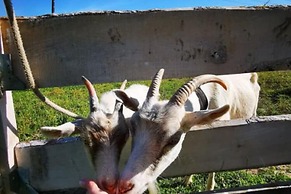 Holiday Apartment in the Countryside, Dzierzcin