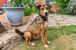 Dickinson Room by Main Street Bed & Breakfast